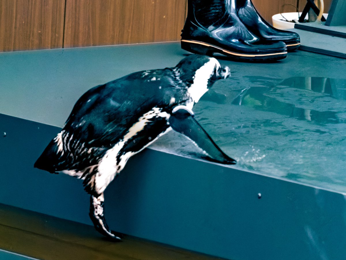 るるなっく (@ruru79) / Posts / X