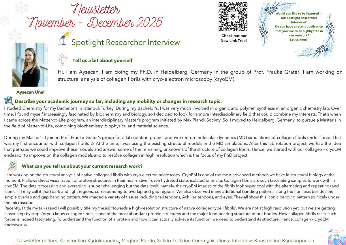 THEmeshwork tweet media