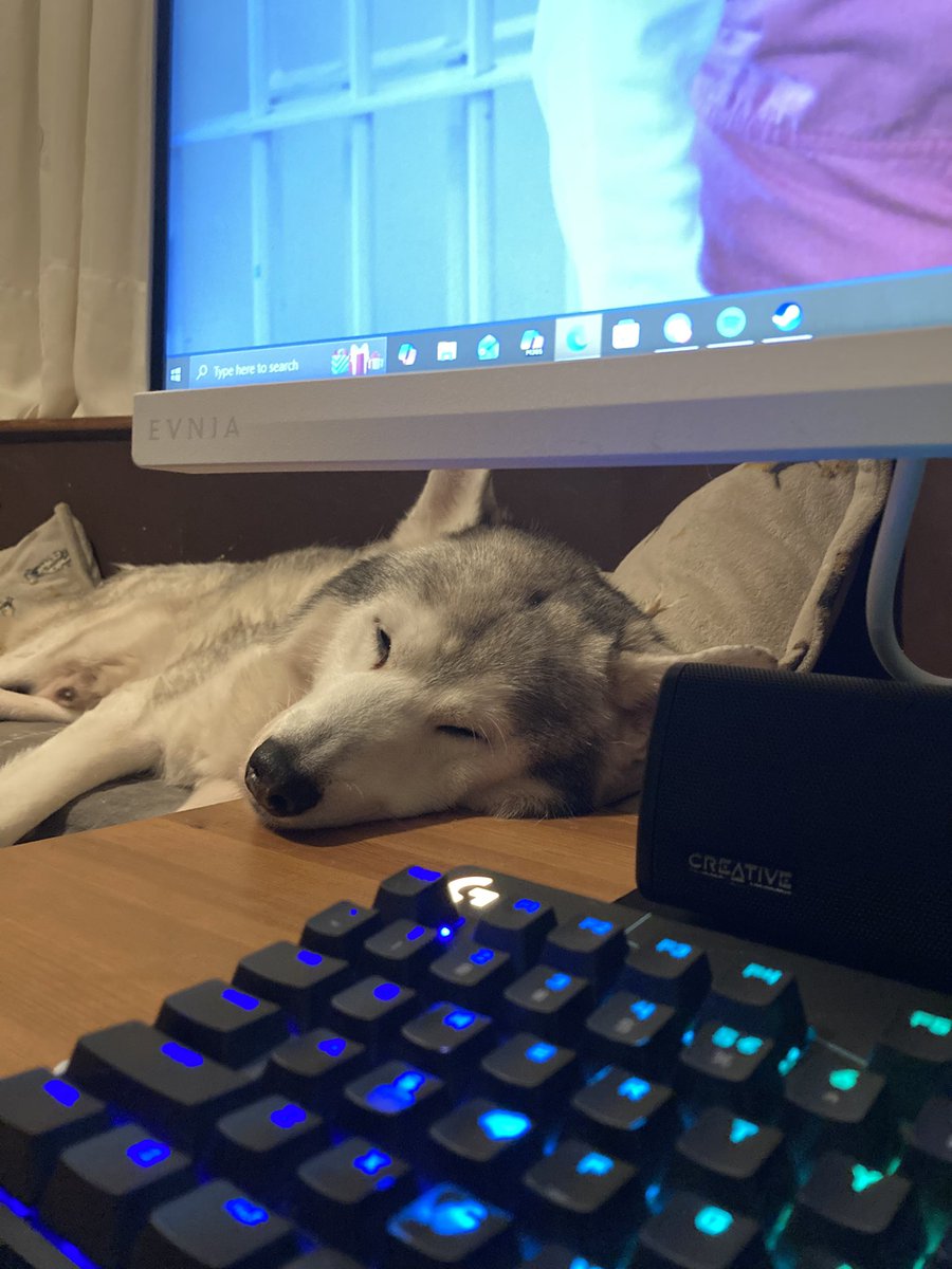 Zen aka Pops is 12 today!