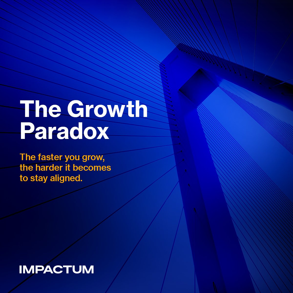 IMPACTUM tweet media
