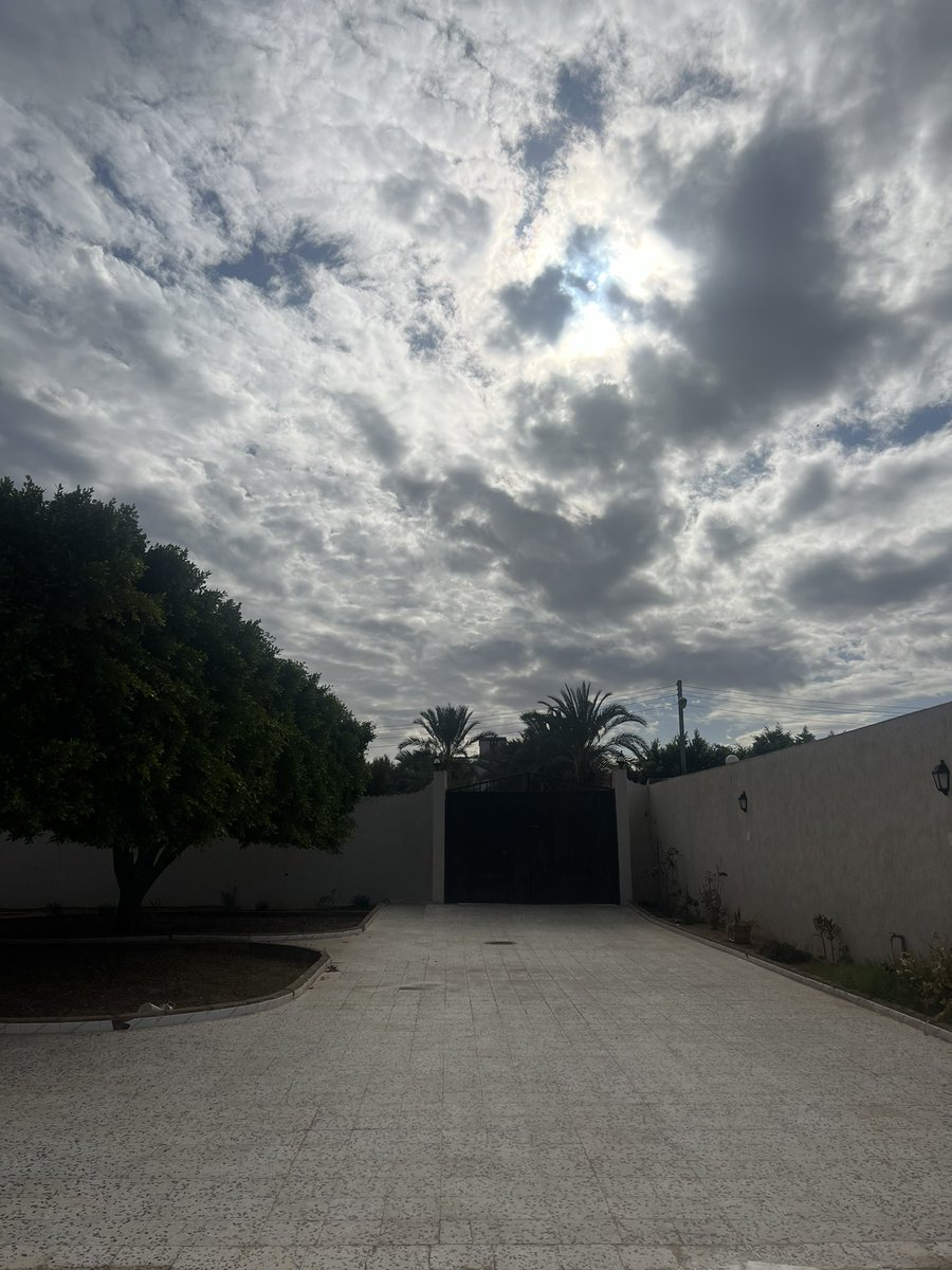 الجو مسحب وممطر ،درت رز مخلط ،،حد عنده مانع 🫣😌😎❤️