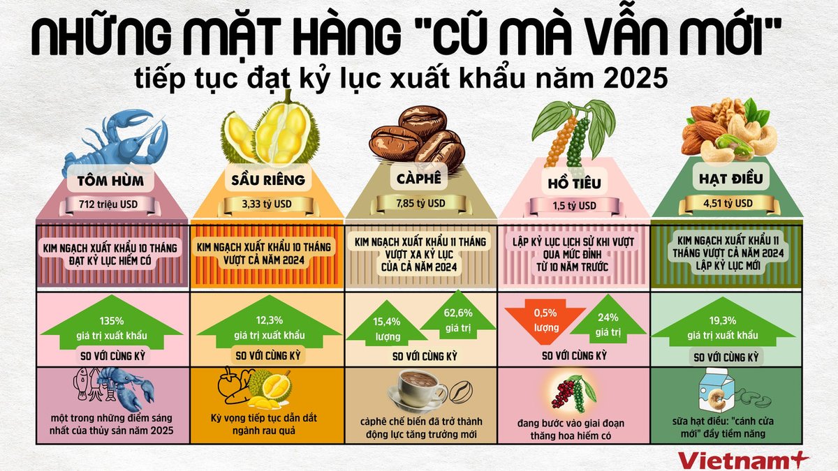 vinacas's tweet photo. Cashew Nuts shine in Vietnam’s 2025 export picture 🌰🇻🇳As of Nov 15, 2025, Vietnam’s exports hit USD 410.28B; total trade topped USD 801B (record high). Cashews lead thanks to #1 global position, rising demand, and strong focus on quality, traceability &amp; value-added processing. https://t.co/5riXRoBQHV