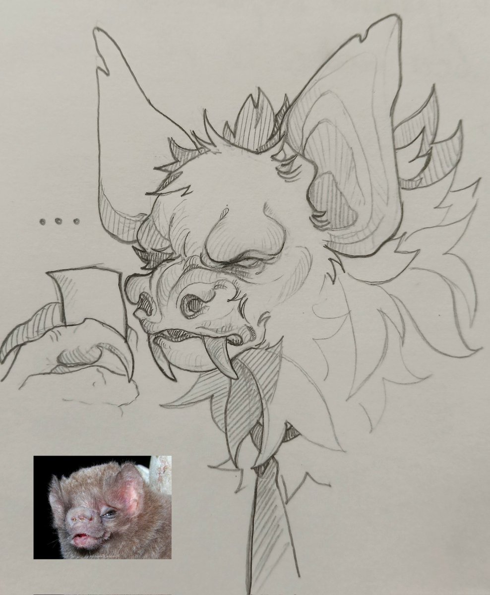 tsima_d's tweet image. he can't see a shit-
I wish there're more funny moments with his bad (bat) eyesight and echolocation
a lunctime #sketch 

#dispatch #Sonar