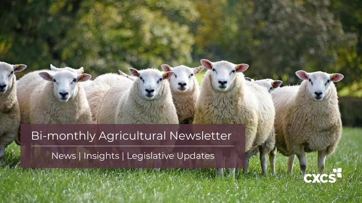 CXCSltd's tweet image. 🚜 Stay up-to-date on agriculture! 

Our bi-monthly newsletter brings you the latest news, insights, and legislative updates straight to your inbox.

📖 December issue: mailchi.mp/b7d47e7d1b2f/c…
👉 Sign up: mailchi.mp/a475c7b798f3/n…
#Agriculture #FarmNews #AgUpdates

#farming  #news