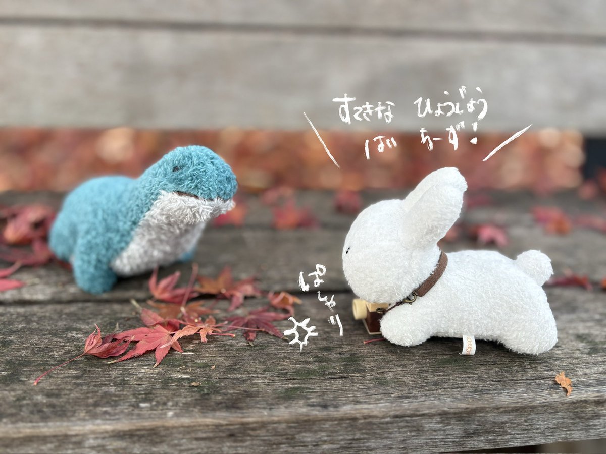 poko__chi's tweet photo. https://t.co/4U5Kklp5YS