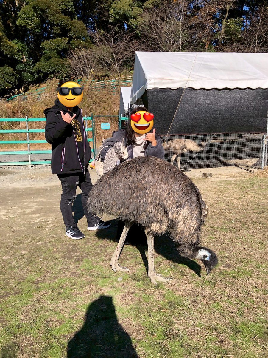 🍒まなみ🍒 (@mnm_mnst) / Posts / X