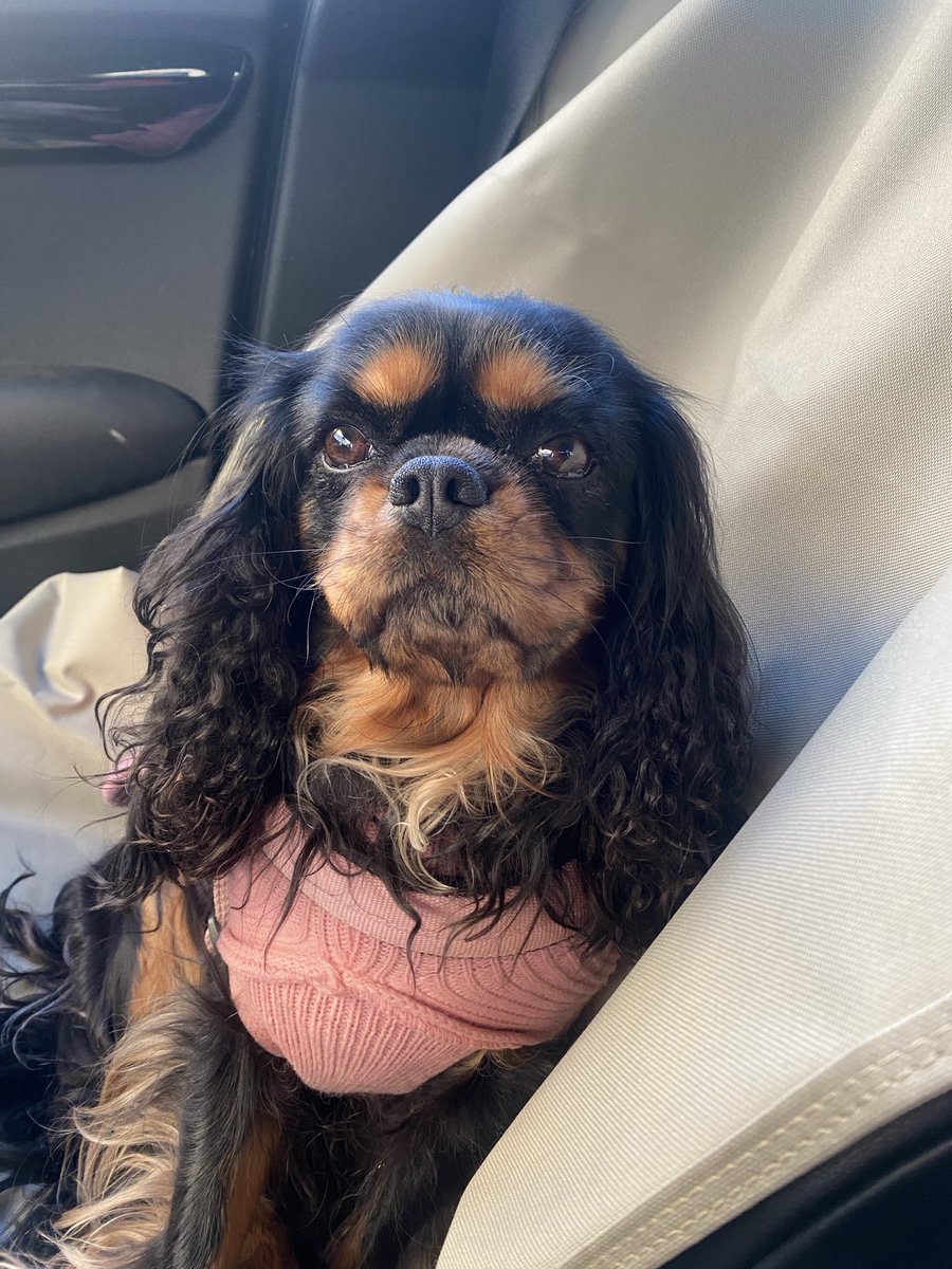 Hi Fwends, good morning at all💕😘😘💖