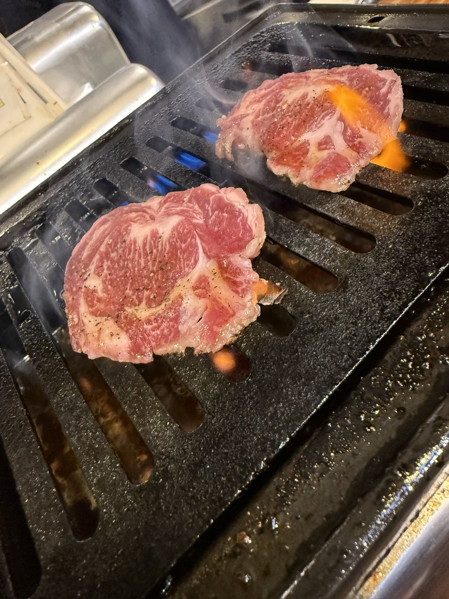 おだやかな気持ちになるプロロンさん😸🌿引用元に遊びにいってみて