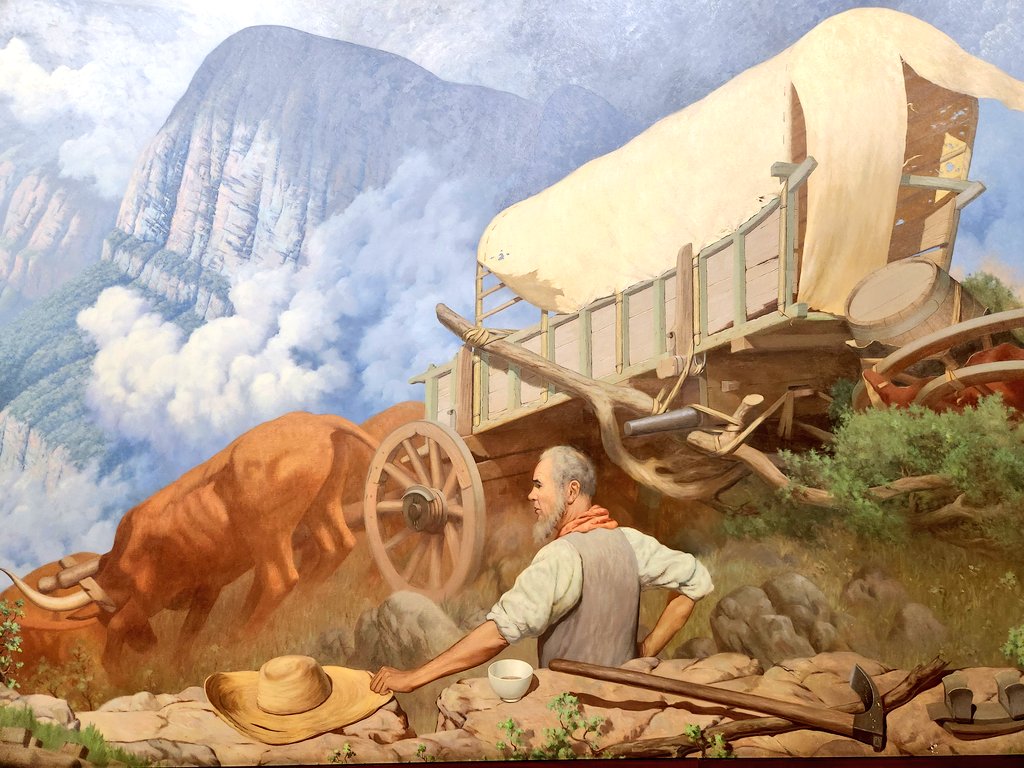 Conscious Caracal 🇿🇦 tweet media