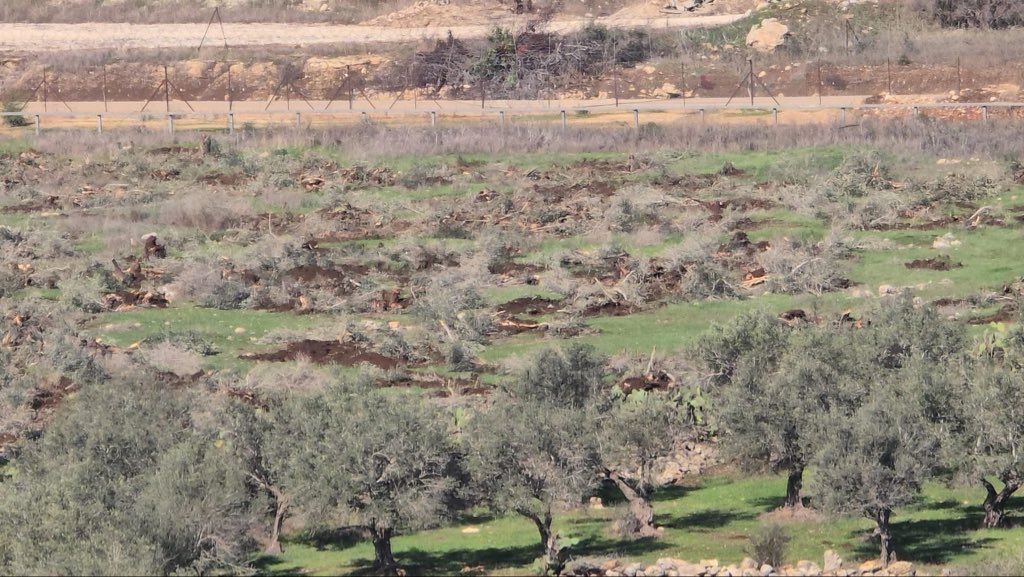 Motasem A Dalloul tweet media