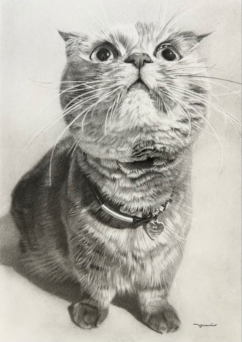 西方 由美 (@tarakuro510) / Posts / X