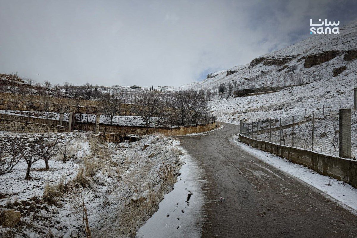 الوكالة العربية السورية للأنباء - سانا tweet media