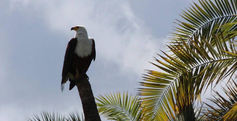 ⏰🏛NON PERDETE LE INTERESSANTI INIZIATIVE ORGANIZZATE DAI MUSEI ANMS!🍀🌏
👉Ecco il link alla nostra newsletter settimanale: mailchi.mp/973cd7930cb2/g…
👀 Continuate a seguirci anche sul nostro sito: anms.it
👥 Per diventare Soci ANMS scrivete a: segreteria@anms.it