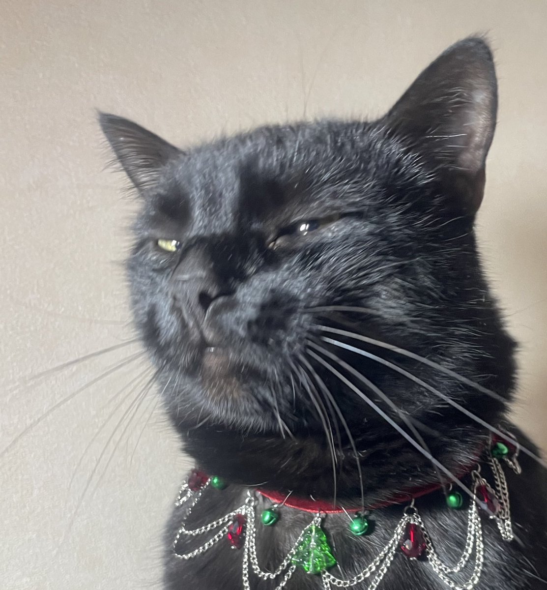 Дивиться, що ви не кинули донат сюди і дуже сильно осуджує