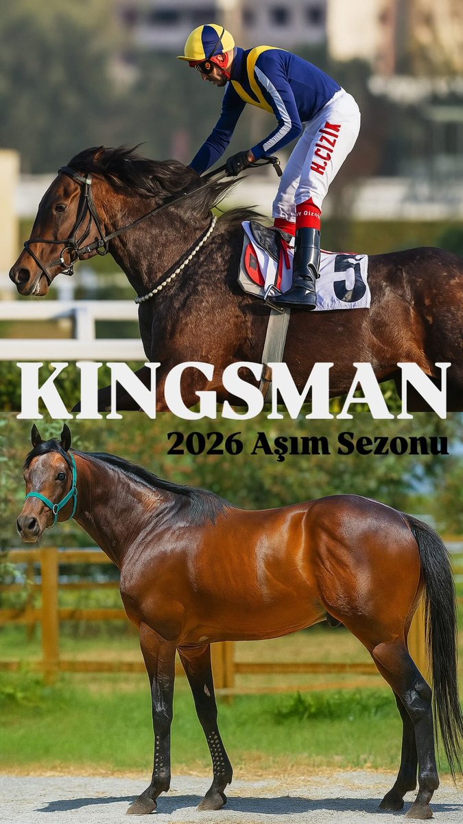 Haci İpek Harası tweet media