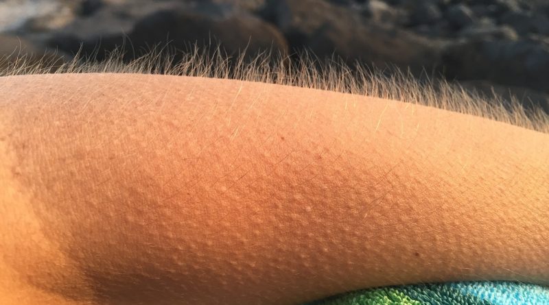 Kad Jovo Maksić zajauče kroz pjesmu "Odveo me život, ostalo je srce..."