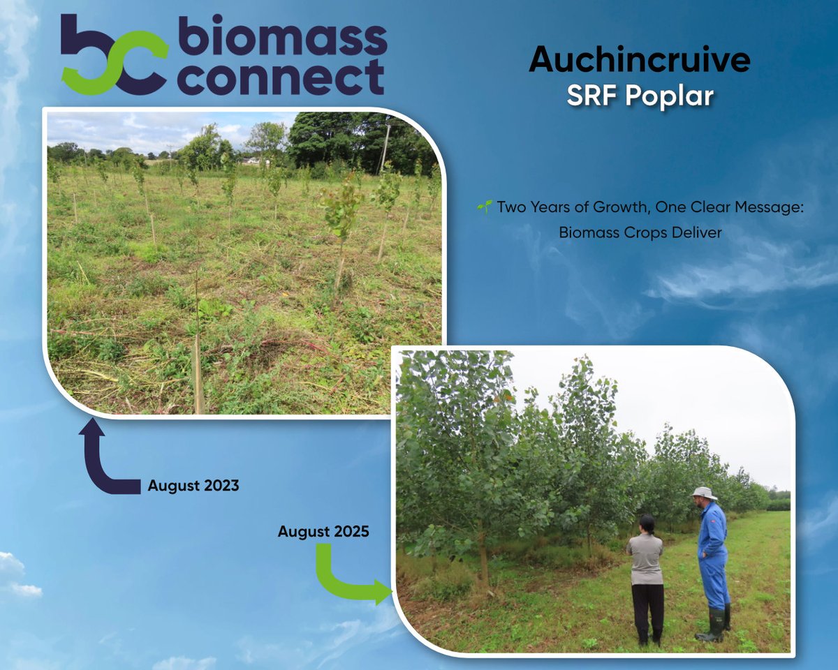 Biomass Connect tweet media