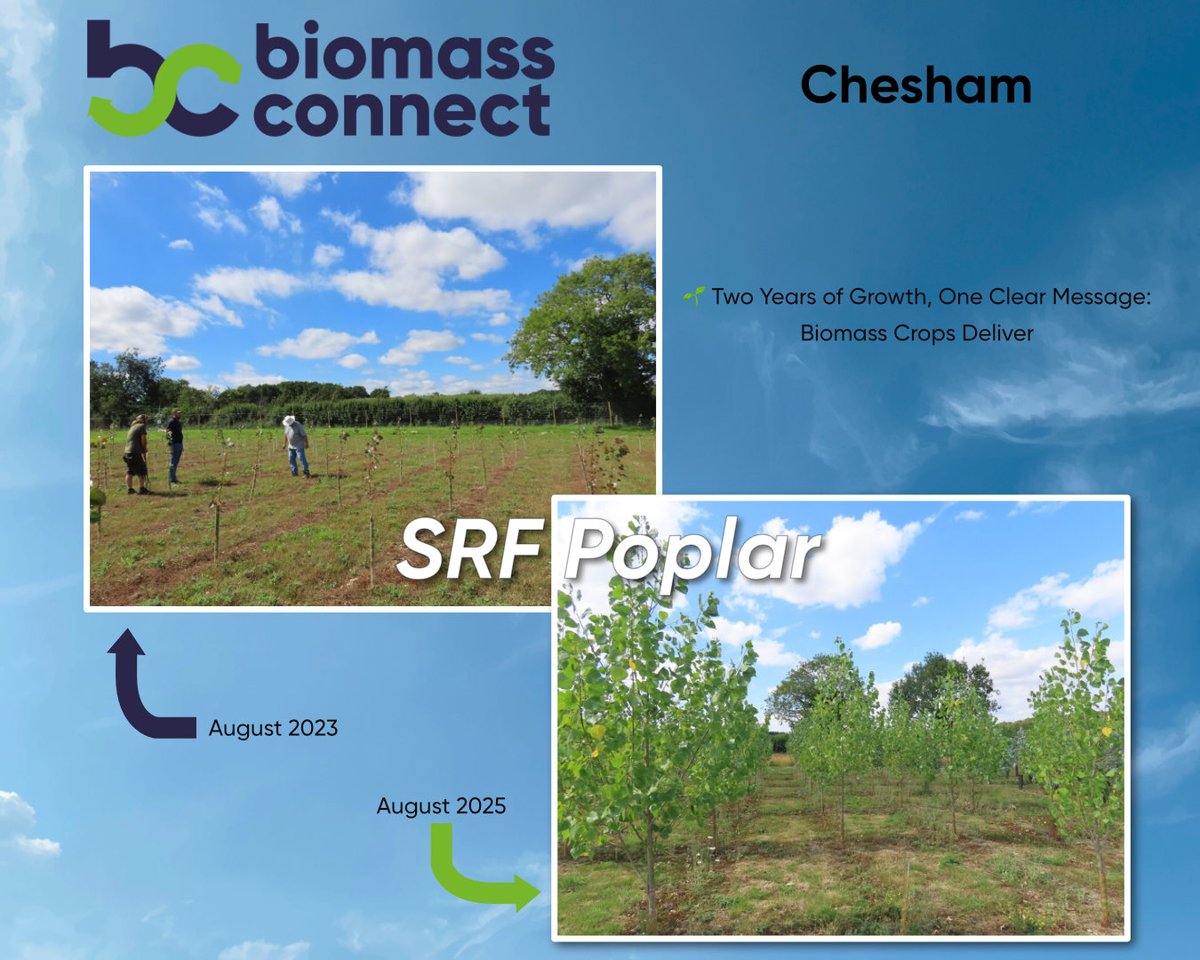 Biomass Connect tweet media