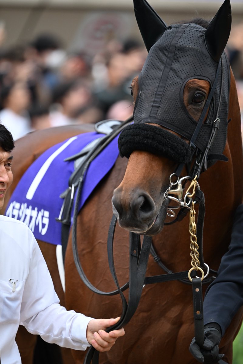 もんちゃん＠写真垢 (@mnch_pic) / Posts / X