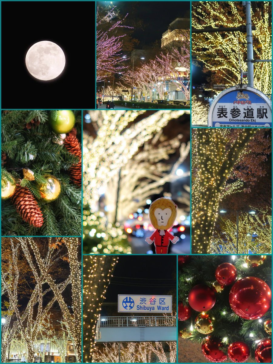 みどちゃん (@rebelrebel7) / Posts / X