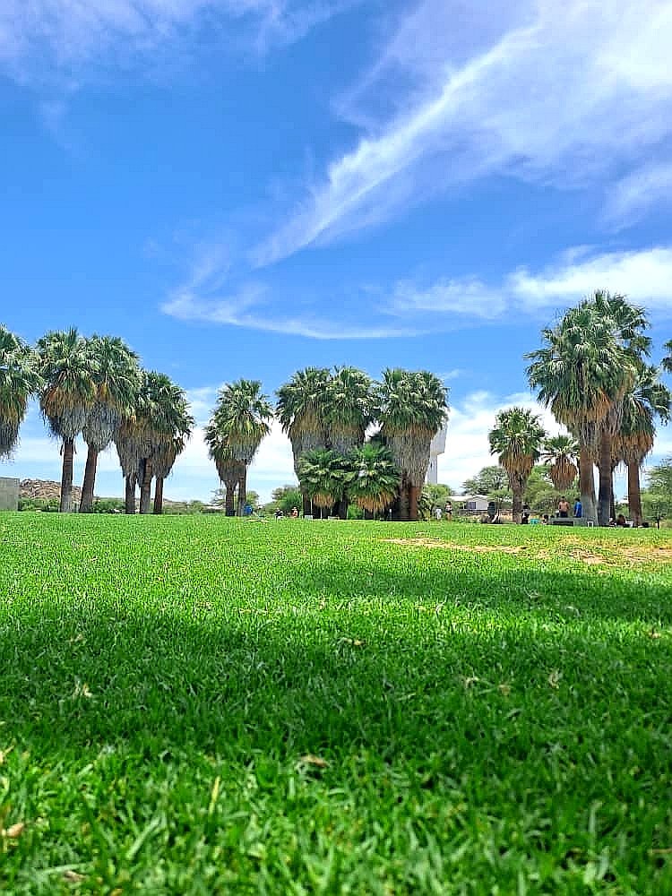 MannyR76 tweet media