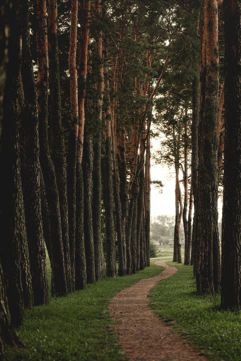 Let’s go for a walk…