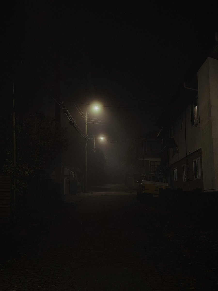 mleomp's tweet image. 