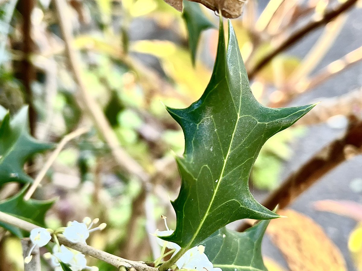 ksitigarbhab (@ksitigarbhab) / Posts / X