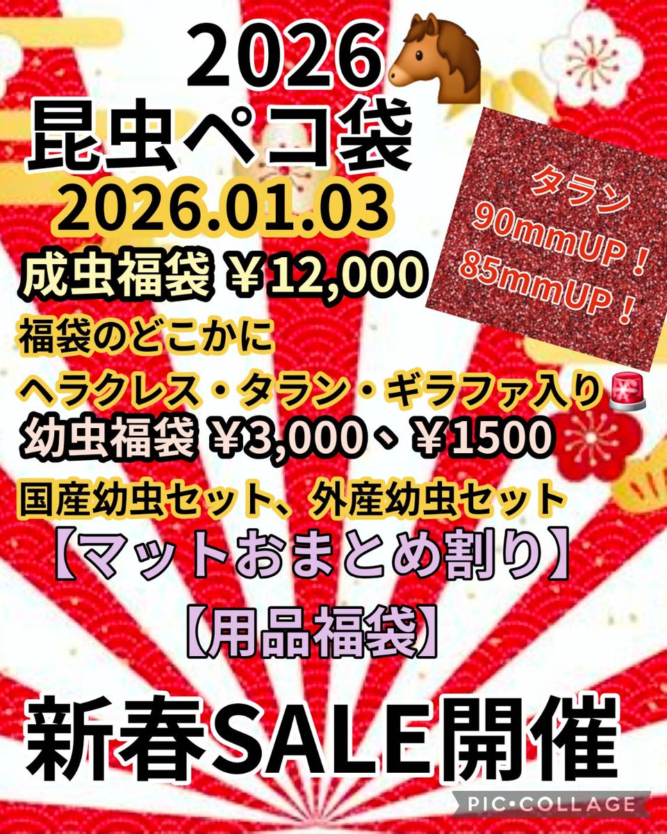 ペコ‼️他の方はご購入出来ません‼️ ペコちゃん ペコとしばた ファスナー付A4トートバッグ (グレー)