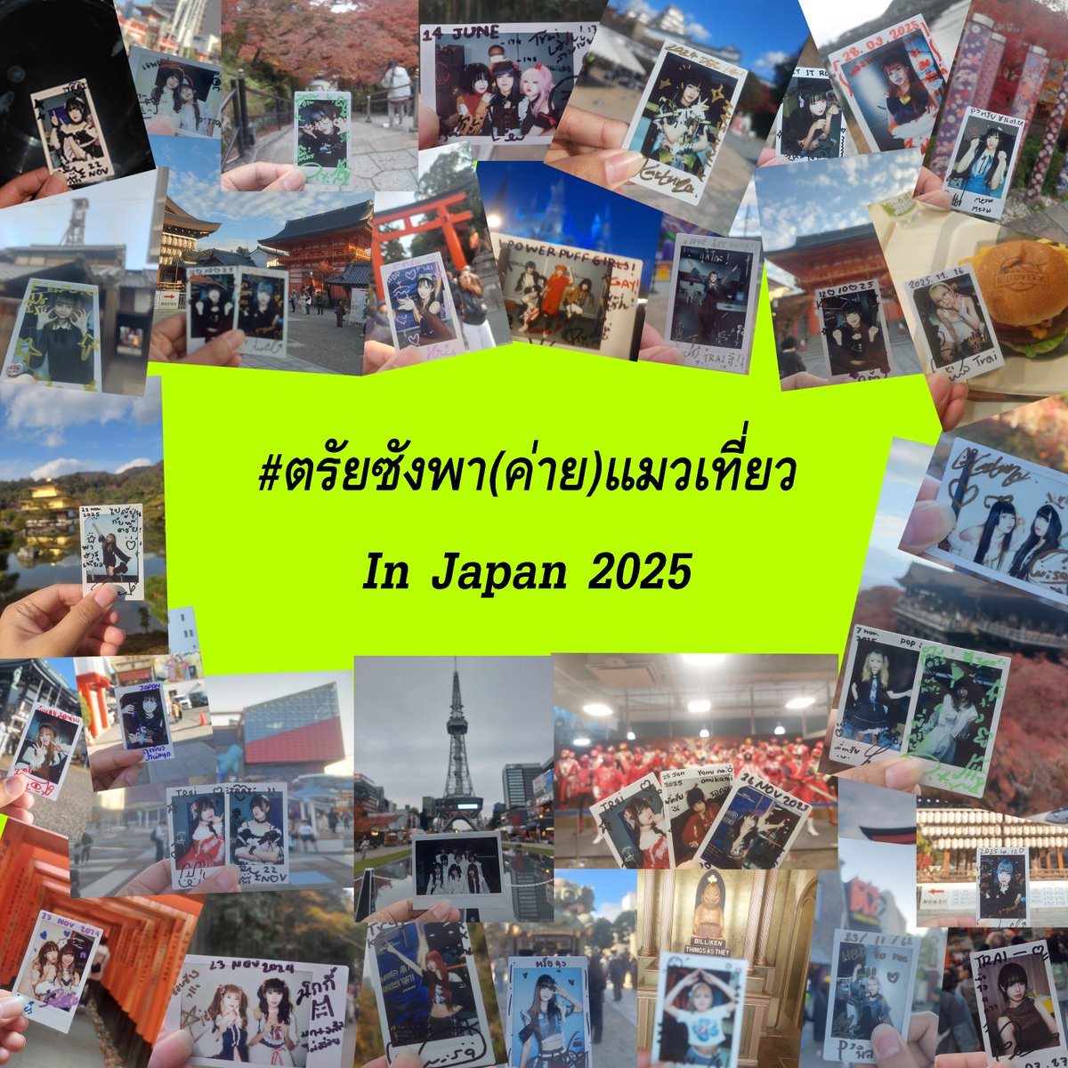 ทิตตรัยซัง ผู้โดนคำสาปสีเขียว tweet media