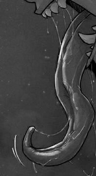 𝐋𝐎𝐎𝐍𝐀 ❪ ⚦* ❫ tweet media