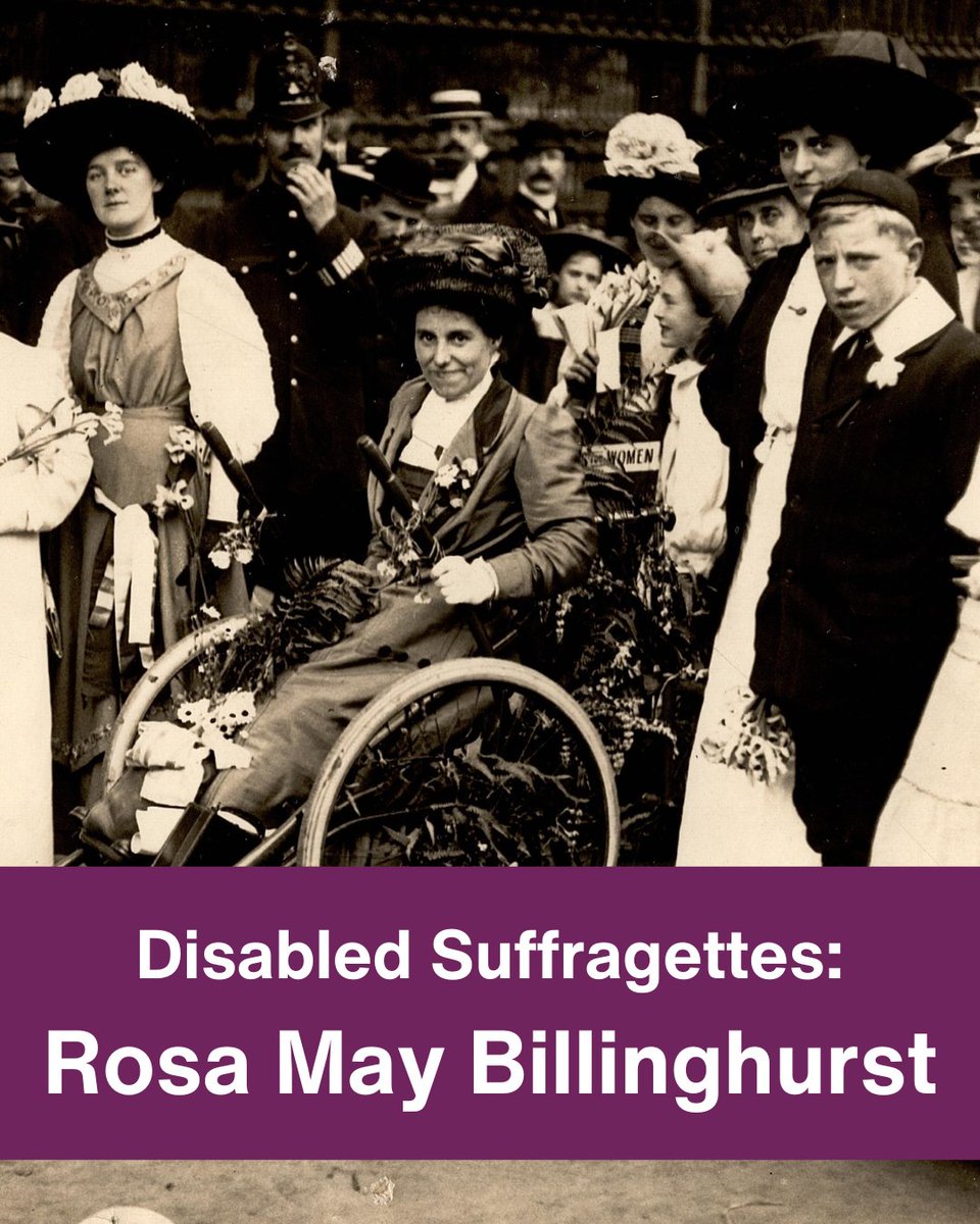 WheelieQueer tweet media