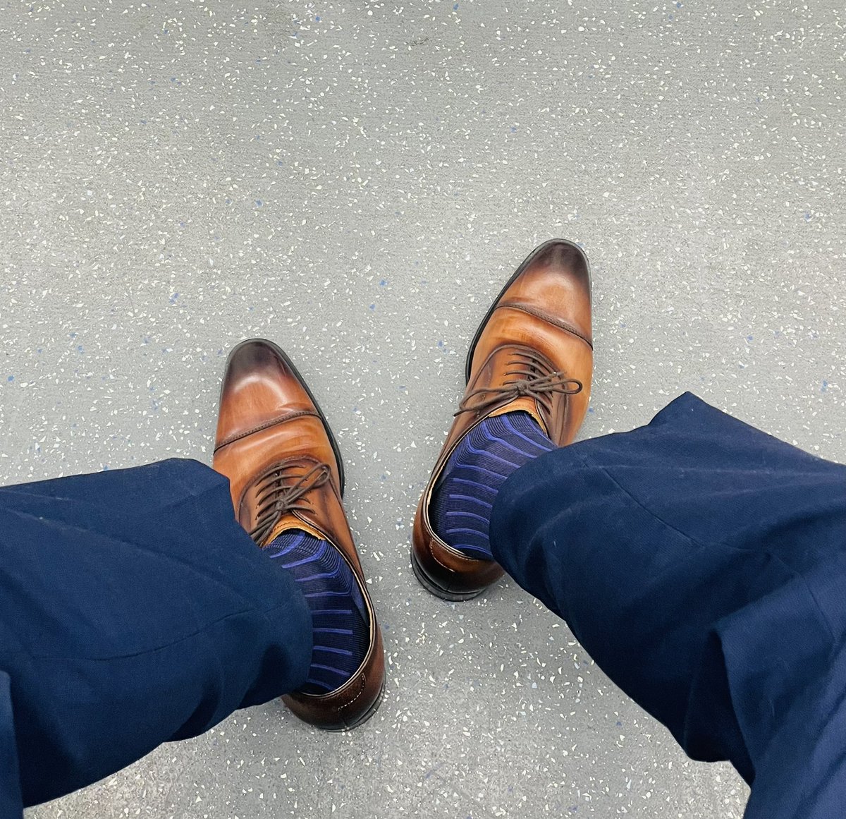 西欤丝黍 tweet media