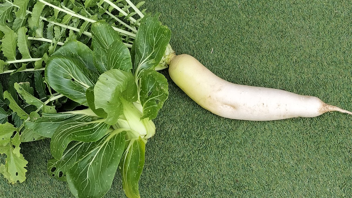 たけちゃんマン (@take_chan_man) / Posts / X