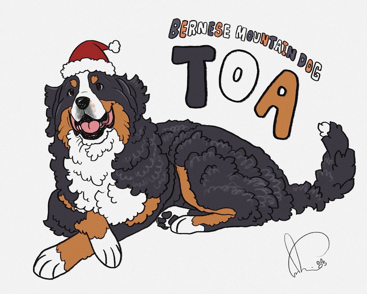 素敵なお写真を頂きました🐾✨