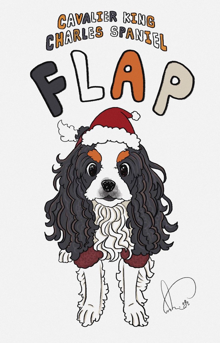 素敵なお写真を頂きました🐾✨