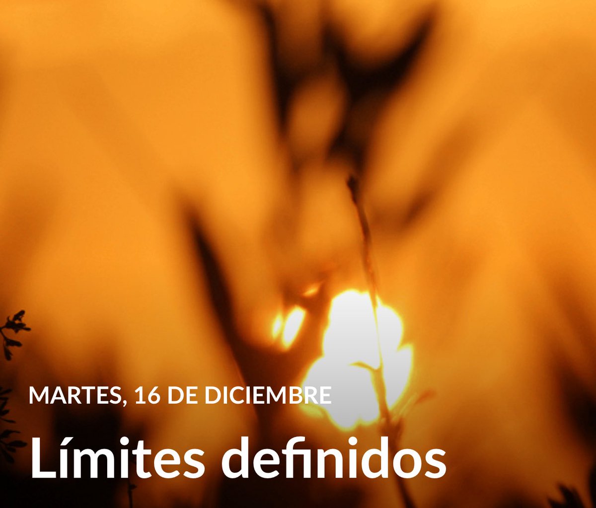 #LESAdv | Martes

“Debiera haber una clara comprensión de lo que significa el pecado y debiéramos evitar la más pequeña aproximación que nos induzca a cruzar las fronteras entre la obediencia y la desobediencia.
(1MS p. 275).

#YoEstudioMiLección