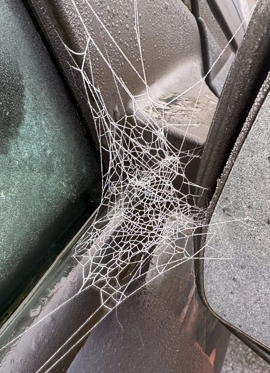 Maureen Tully tweet media