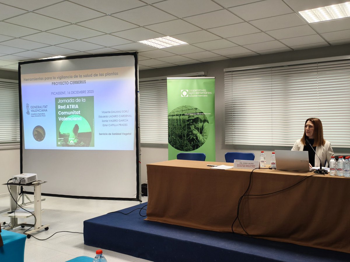 CoopsAgroCV's tweet photo. @susanalluna Con la participación de Sonia Valero, del Servicio de Sanidad Vegetal de @GVAagricultura, conocemos a continuación el Proyecto @CerberusEU y las posibilidades que nos ofrece para la vigilancia de la sanidad de las plantas.
#JornadaRedATRIACV https://t.co/7mq6fOJRjB