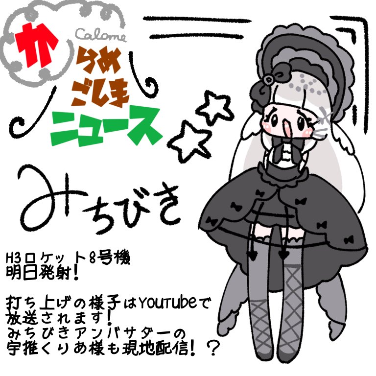 ☆ #種子島宇宙センター ☆ H3ロケット8号機による準天頂衛星システム