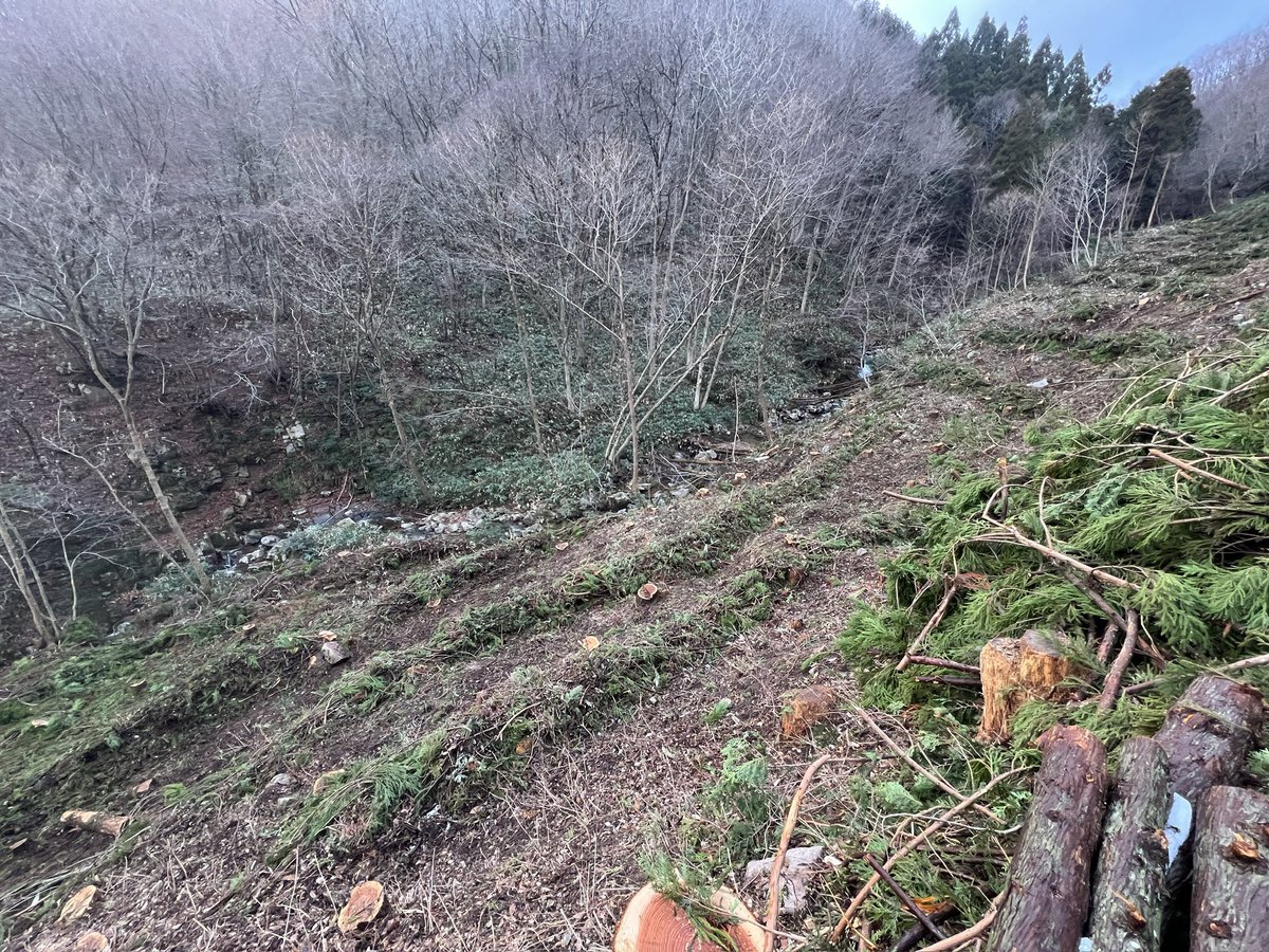 頑張った！
明日は休み🎌
#地ごしらえ