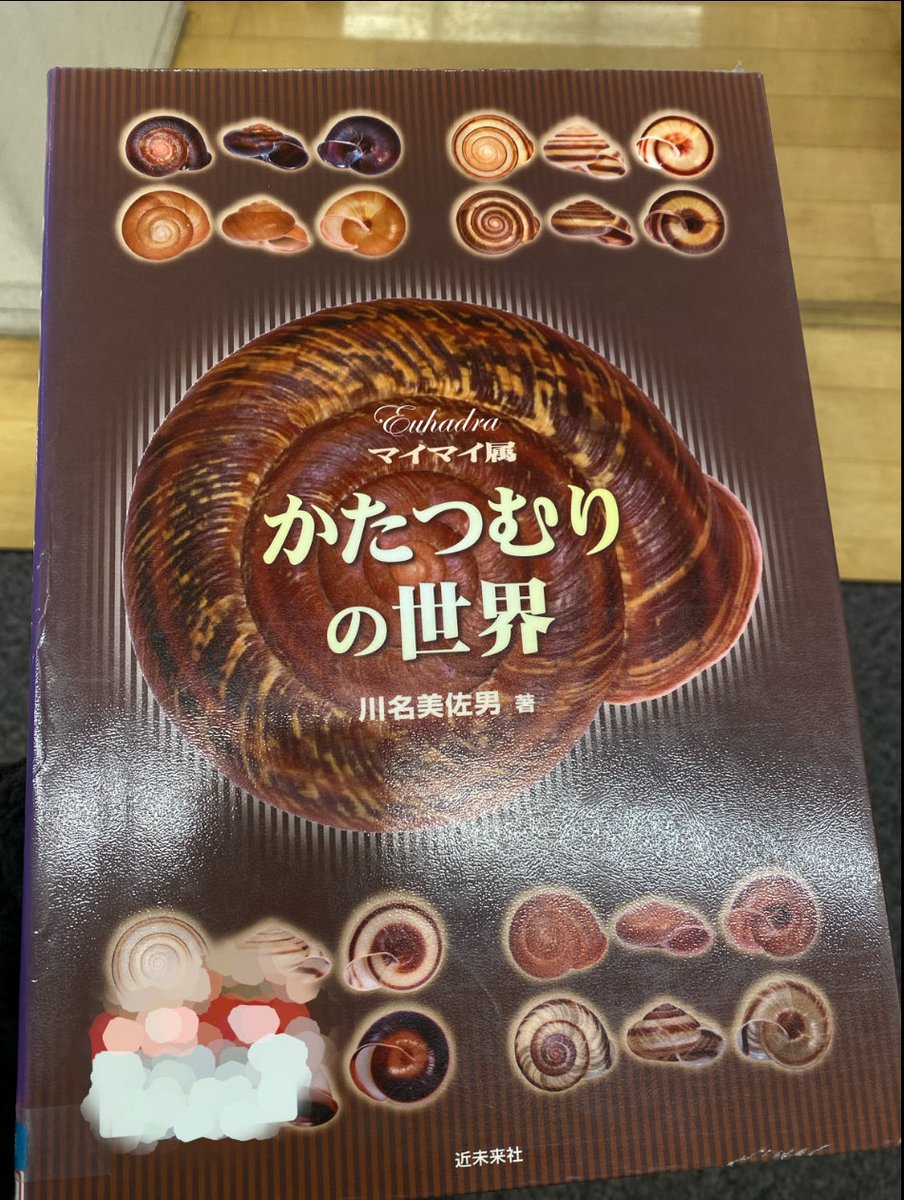 近未来社刊行、定価8.000円。直販のため一部の大型書店のみで販売されていたもの。古書が高騰し手が出ない。網戸に飛来したノコギリクワガタの造形に魅せられ、初代会長の市川さん時代に埼玉昆虫談話会に所属。現在先生の膨大な貝類コレクションは茨城県博に寄贈されている。
