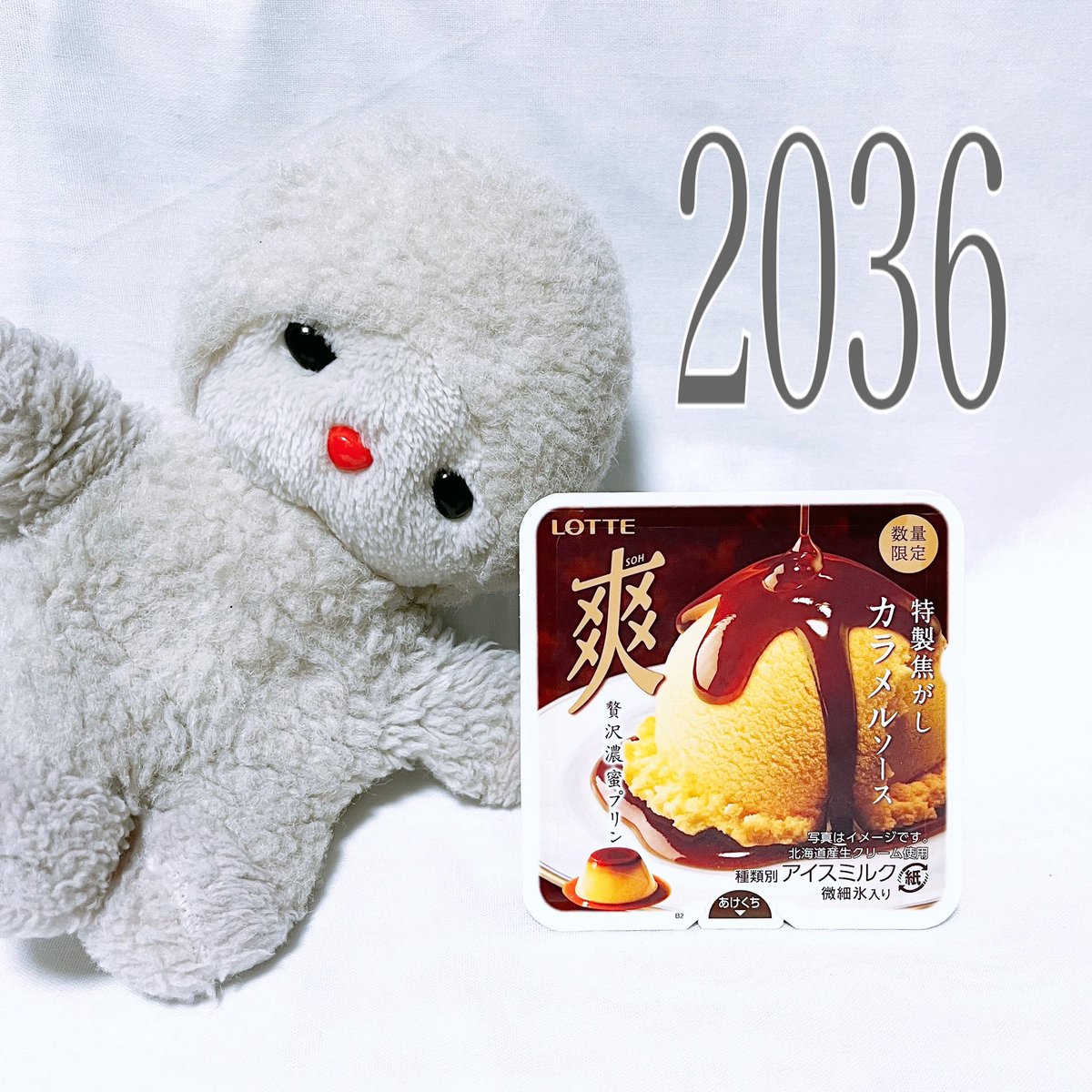 いくみんアイスログ 2036🍨】 「カラメルソースが旨いプリン」 (数量