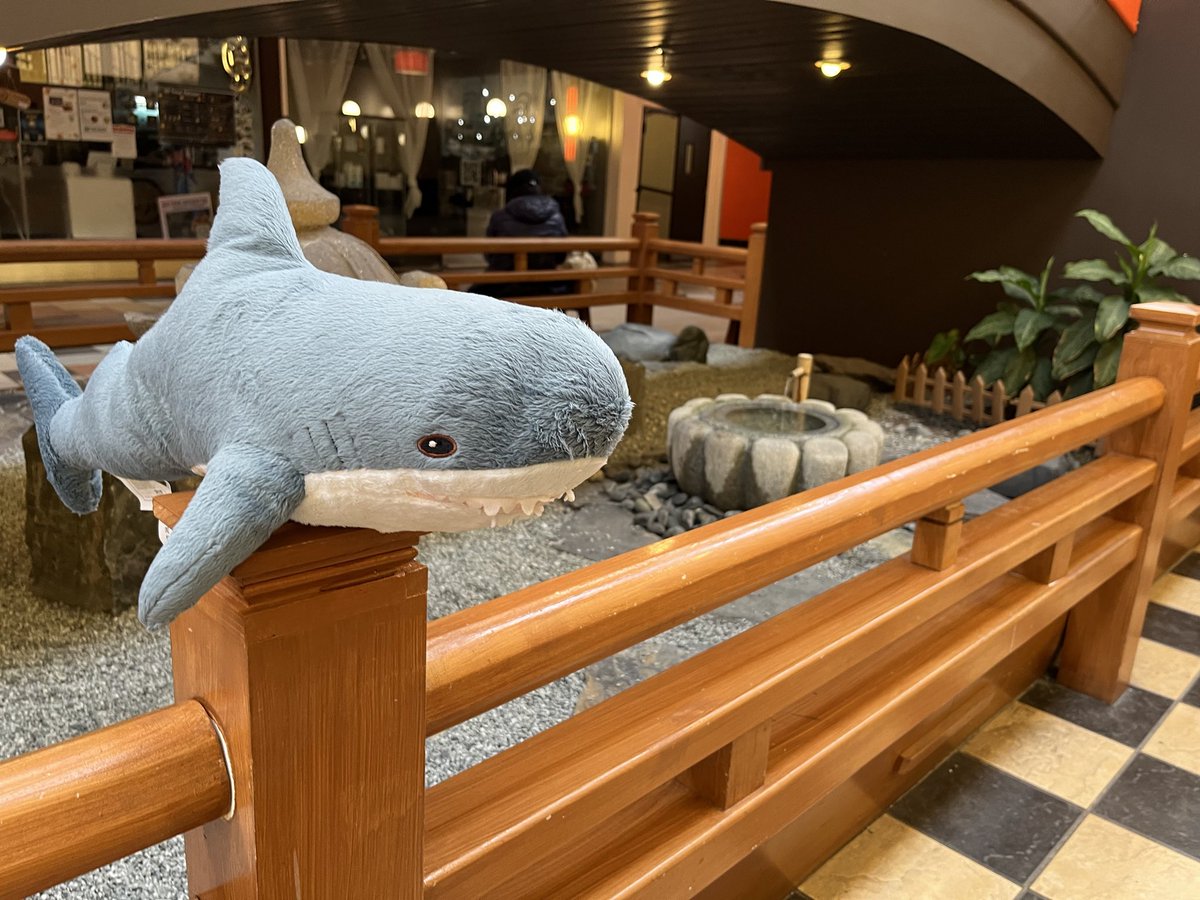 アメリカで日本の風流を感じてるのでパーッチ🦈✨️🇺🇸
#IKEA #IKEAのサメ #IKEAshark #blahaj