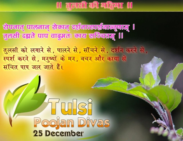 #गौरवशाली_भारतीय_संस्कृति में ही देवतागण अवतरित होकर मुक्त होना चाहते हैं तो हम क्यों पश्चिमी देशों में प्रचलित (प्लास्टिक के) क्रिसमस ट्री का क्रिसमस डे मनाएं। हम तो 25 दिसंबर को भक्ति, मुक्ति, जीवन और स्वास्थ्य देने वाली तुलसी का पूजन करेंगे।