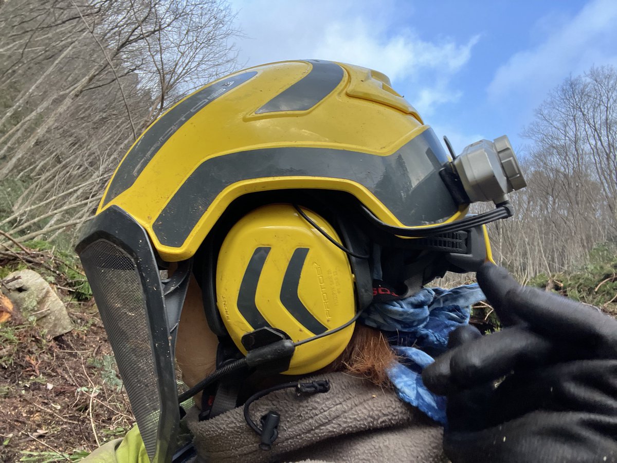 インカムで
先輩たちが彼女にあげる
クリスマスプレゼントの話してる。
高級いちごをあげる人
ハンドクリームをあげる人かいました。
皆さんは何か贈りますか？