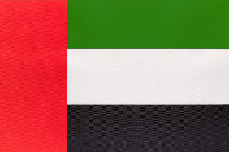 The UAE’s links and financial ties to pro-Israel think tanks and Zionist lobby groups that stoke Islamophobia in the West:

1. europarl.europa.eu/doceo/document…

2. bridge.georgetown.edu/research/middl…

3. bylinetimes.com/2020/09/28/mod…

4. middleeasteye.net/opinion/uae-eu…

5. theintercept.com/2024/04/20/far…

6.