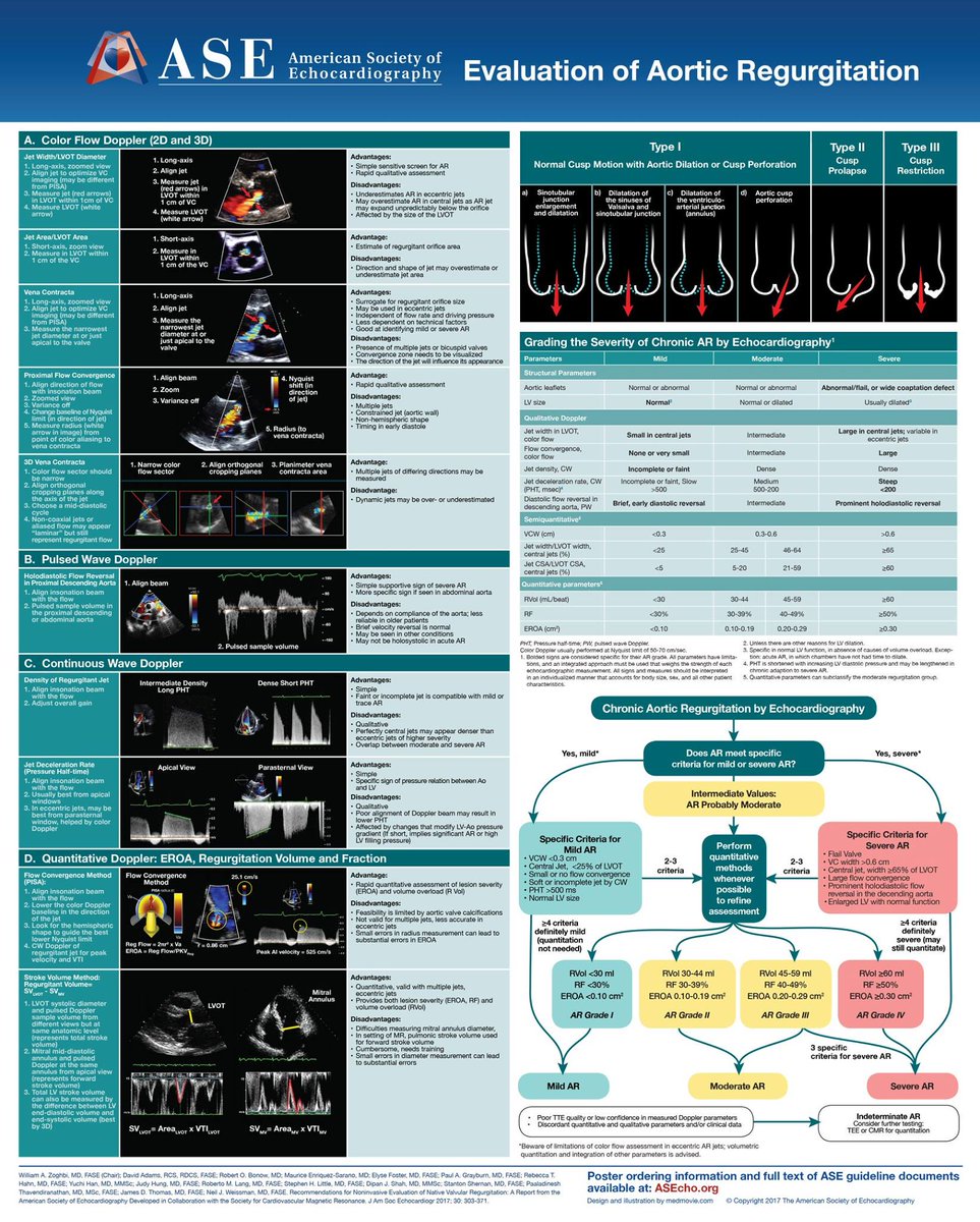 TrackYourHeart's tweet image. Evaluation of aortic regurgitation.
📸: ASE