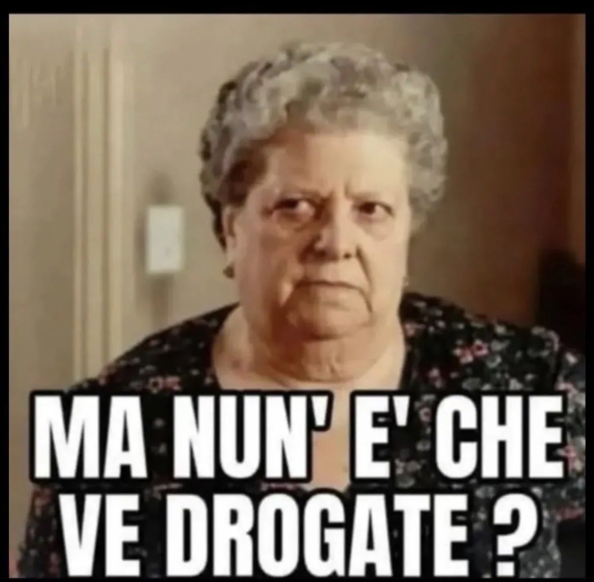 hans312's tweet photo. @Atreju2024_ @GiorgiaMeloni @FratellidItalia https://t.co/UcGYc3HAS6