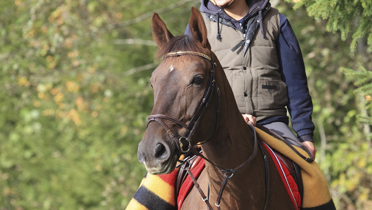 Kentucky Performance Products tweet media